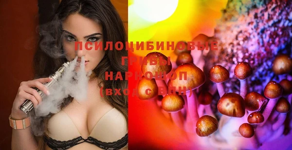 герыч Арсеньев