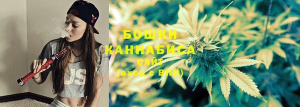 PSILOCYBIN Балабаново