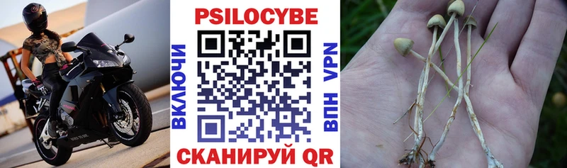 Галлюциногенные грибы GOLDEN TEACHER  Ревда 
